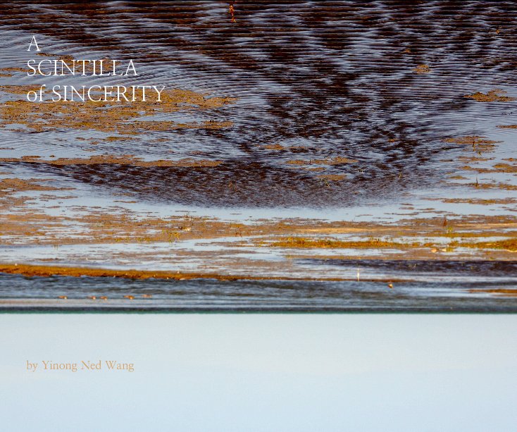 View A SCINTILLA of SINCERITY by Yinong Ned Wang by Ned Wang