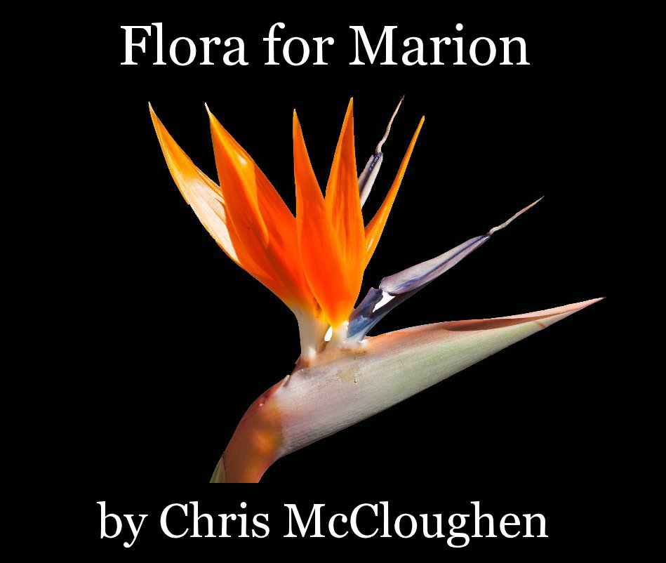 View Flora for Marion by Photography by Chris McCloughen