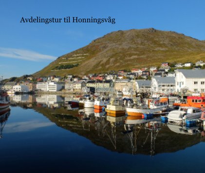 Avdelingstur til Honningsvåg book cover