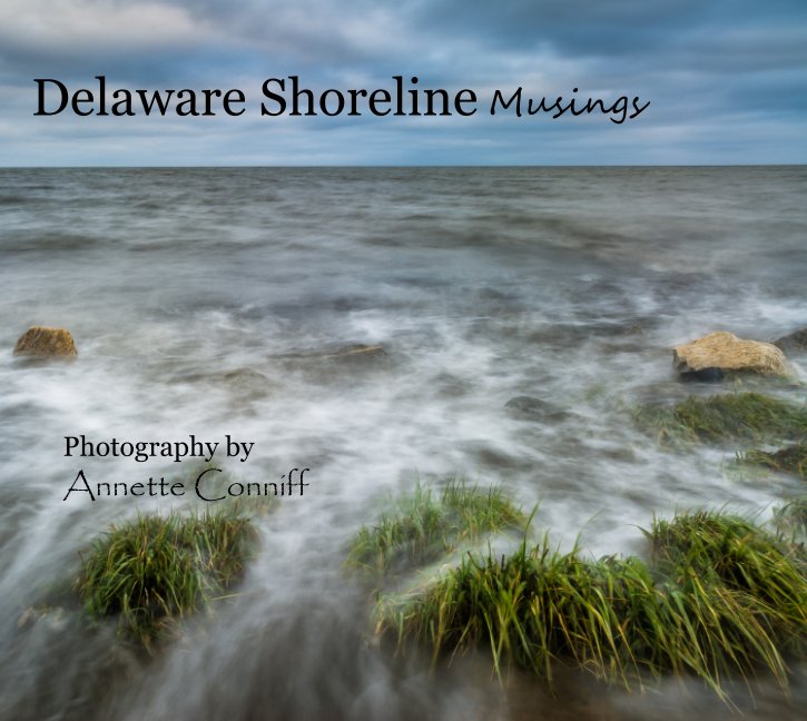 Ver Delaware Shoreline Musings por Annette Conniff