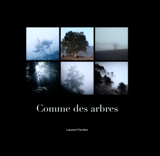 View Comme des arbres by Laurent Ferrière