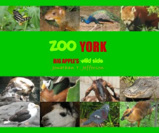 ZOO YORK book cover