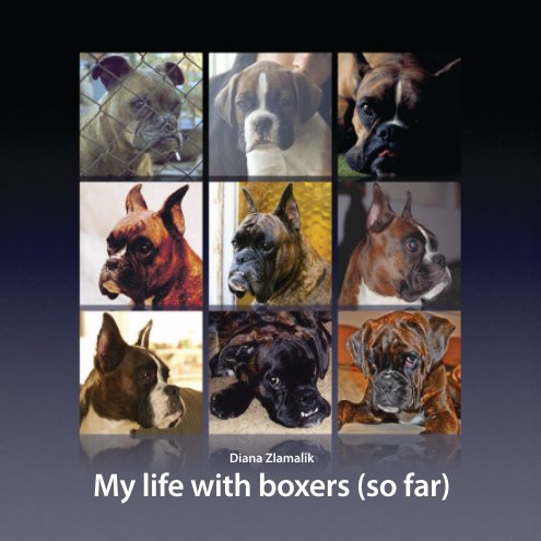View All my boxers by Diana Zlamalik