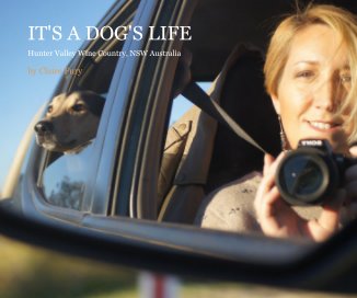 IT'S A DOG'S LIFE book cover