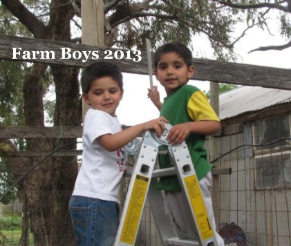 Farm Boys 2013 book cover