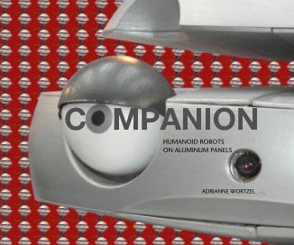 COMPANION book cover