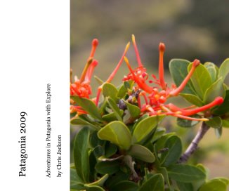 Patagonia 2009 book cover
