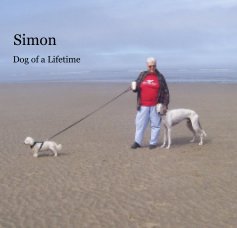 Simon book cover