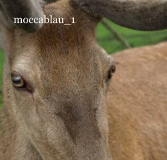 moccablau_1 book cover