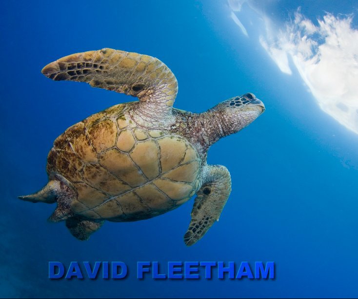 View David Fleetham by David Fleetham