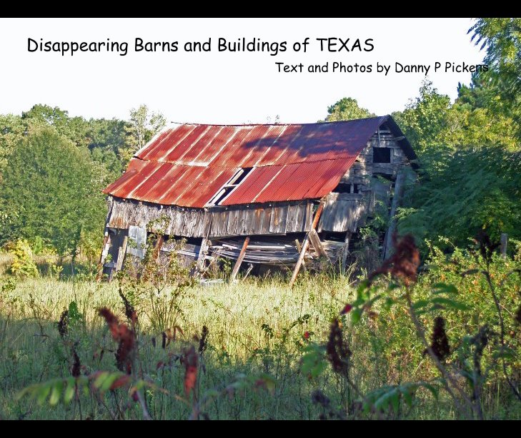 View Dissapearing Barns and Buildings of Texas by Danny P Pickens
