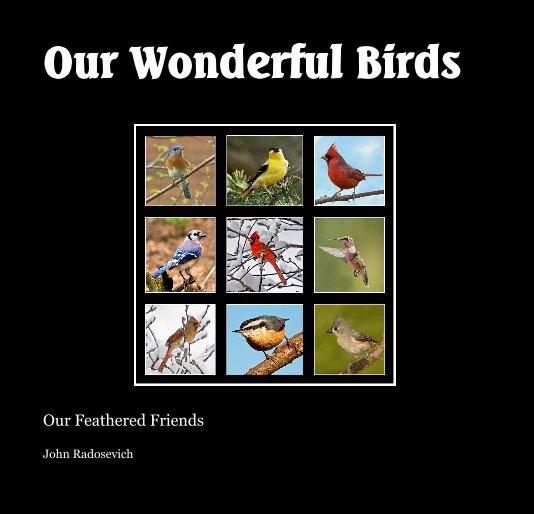 View Our Wonderful Birds by John Radosevich