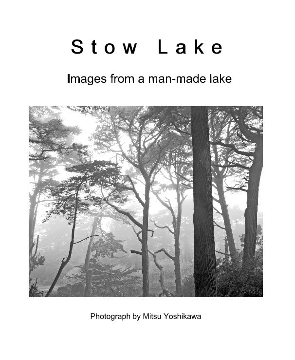 View Stow Lake by Photograph by Mitsu Yoshikawa