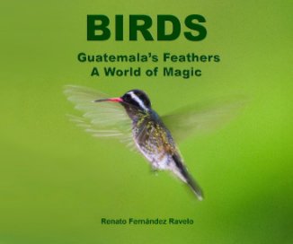 Birds: Guatemala's Feathers book cover