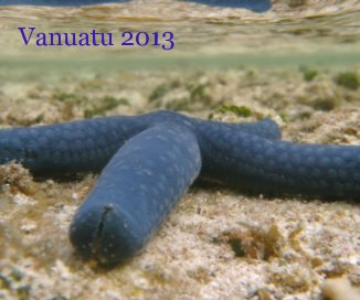 Vanuatu 2013 book cover