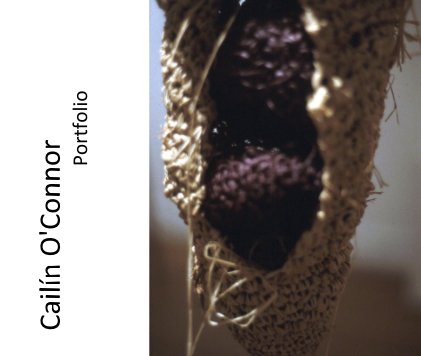 Caili­n O'Connor Portfolio book cover