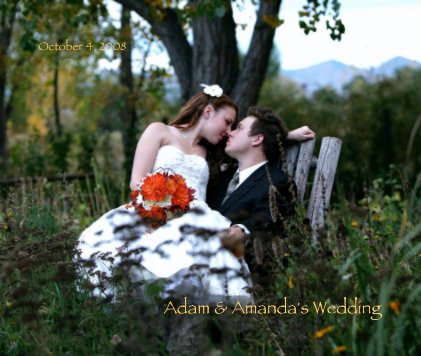 Adam & Amanda's Wedding book cover