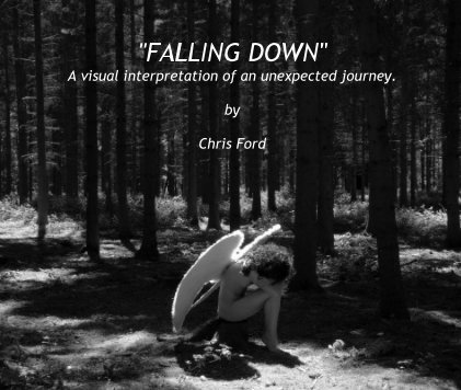 "FALLING DOWN" A visual interpretation of an unexpected journey. by Chris Ford book cover
