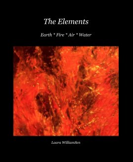 The Elements book cover