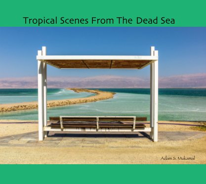Tropical Scenes From The Dead Sea book cover