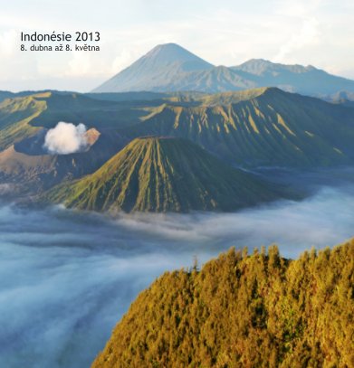 Indonesie 2013 book cover