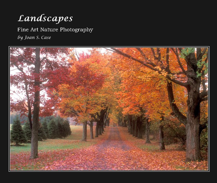 View Landscapes by Joan S. Case