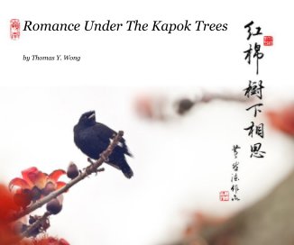 Romance Under The Kapok Trees book cover