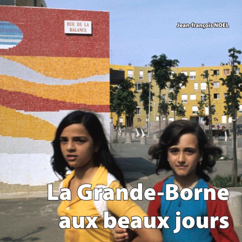 View La Grande Borne aux beaux jours by Jean-françois NOEL