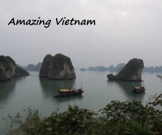 Amazing Vietnam book cover