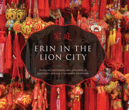 Erin in the Lion City book cover