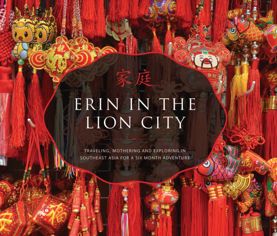 Bekijk Erin in the Lion City op Erin Heiskell