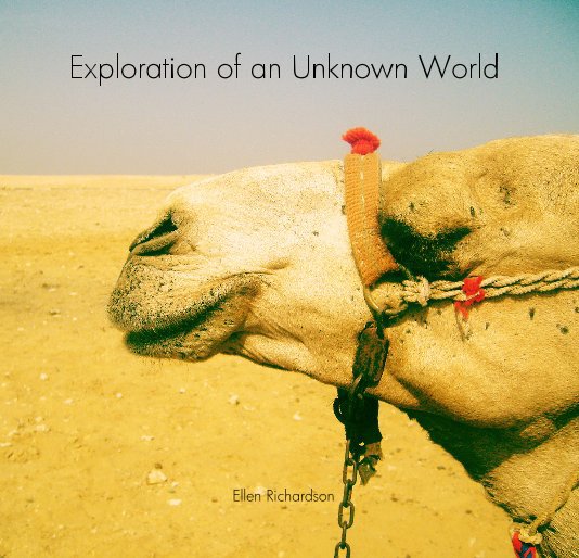 View Exploration of an Unknown World by Ellen Richardson