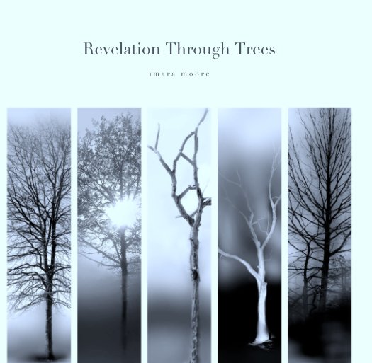 Ver Revelation Through Trees por i m a r a   m o o r e