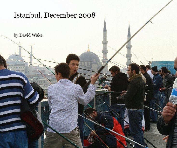 View Istanbul, December 2008 by David Wake