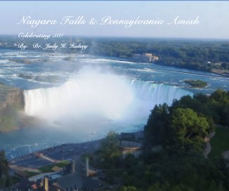 Niagara Falls & Pennsylvania Amish book cover