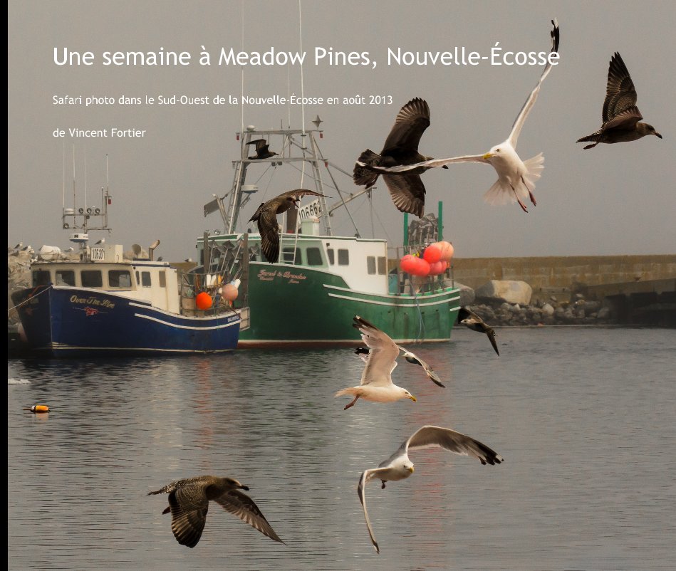 Une semaine à Meadow Pines, Nouvelle-Écosse - One week in Nova Scotia Canada nach de  by Vincent Fortier anzeigen