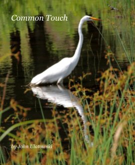 Common Touch book cover
