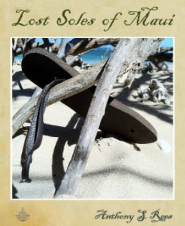 Lost Soles of Maui book cover