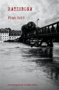 Ratisbona - Flut 2013 book cover