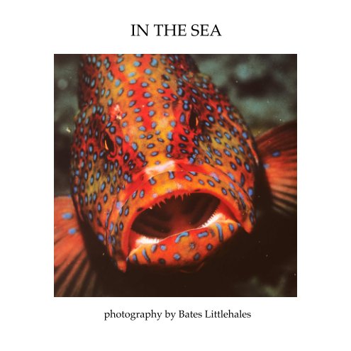 View IN THE SEA by BATES LITTLEHALES