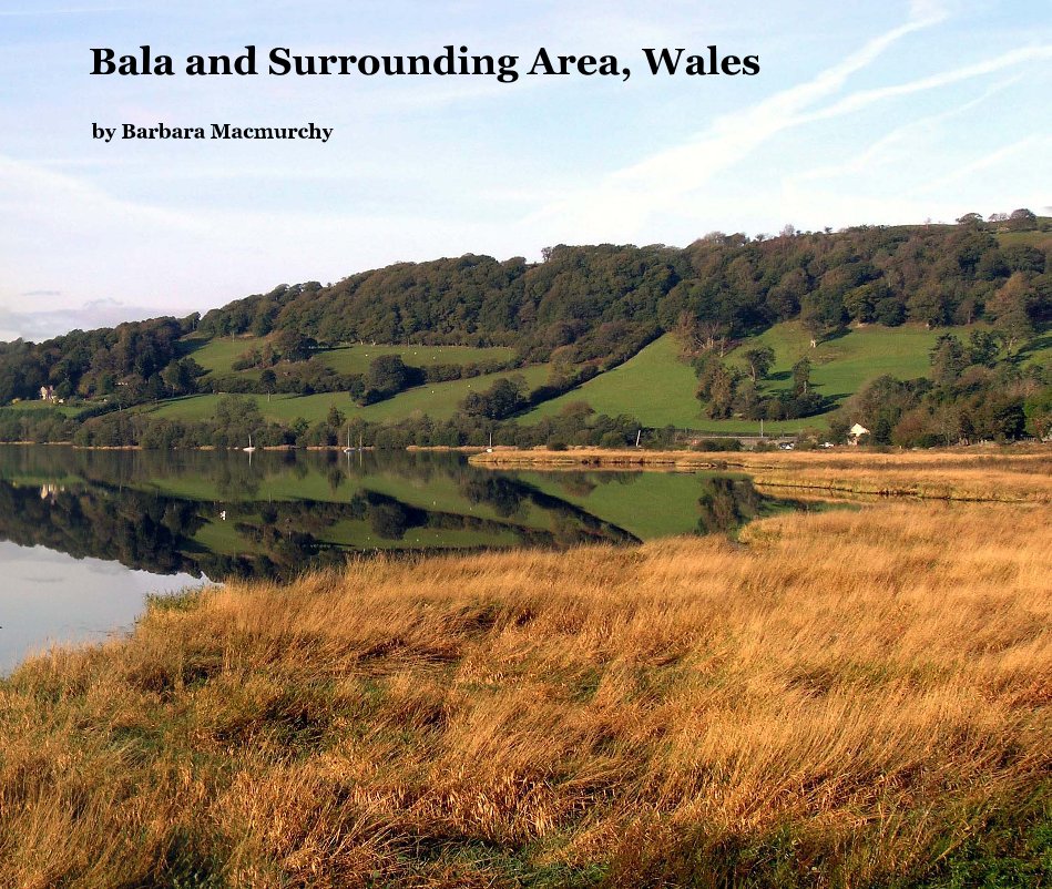 View Bala and Surrounding Area, Wales by Barbara Macmurchy