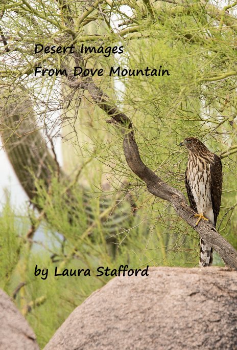 View Desert Images From Dove Mountain by Laura Stafford
