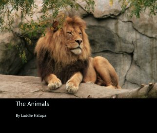 The Animals book cover
