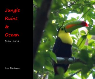 Jungle Ruins & Ocean Belize 2008 Asta Tobiassen book cover