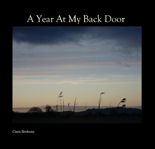 View A Year At My Back Door by Ciara Brehony
