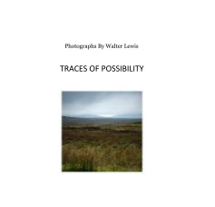 Traces of Possibility book cover