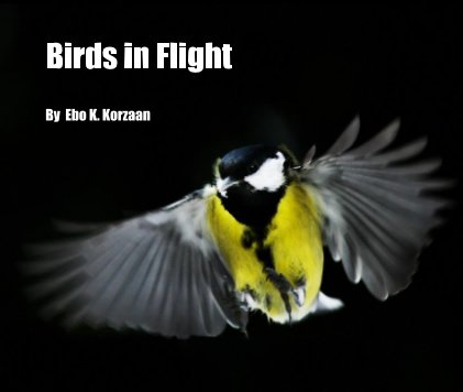 Birds in Flight book cover