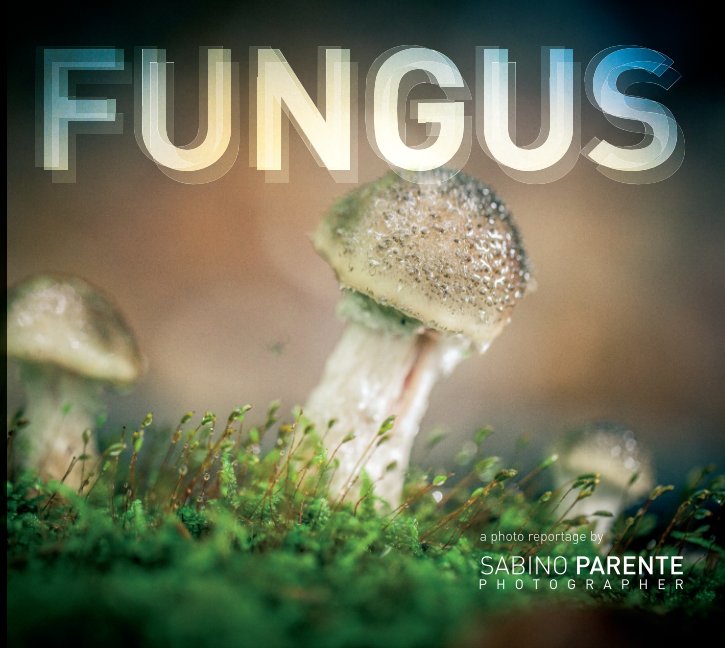 View Fungus by Sabino Parente