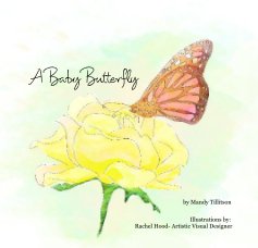 A Baby Butterfly book cover