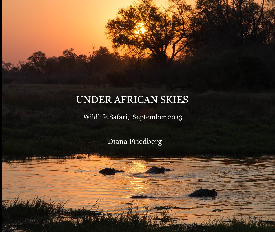 View UNDER AFRICAN SKIES Wildlife Safari, September 2013 by Diana Friedberg